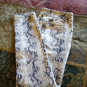 Chicos Animal Print Jegging
